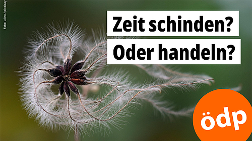 Im Wind wehende Pflanzensamen als Symbol für vergehende Zeit