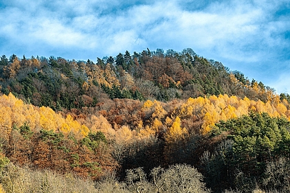 Symbolbild, Foto: www.pixabay.com, minka2507