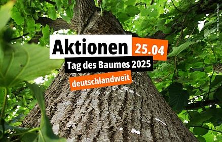 Tag des Baumes 2025