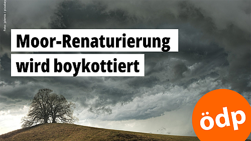 Gewitterwolken ziehen auf