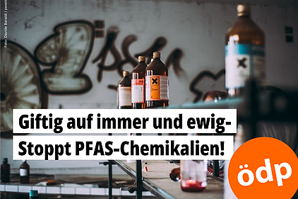 PFAS baut sich nicht ab und wird deshalb als Ewigkeits-Chemikalie bezeichnet. In einem Regal stehen verschiedene Flaschen mit Aufklebern, die auf einen giftigen Inhalt hinweisen.