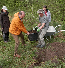 Einsetzen des Gedenkbaums